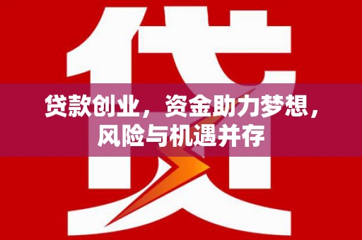 庆元贷款创业，资金助力梦想，风险与机遇并存