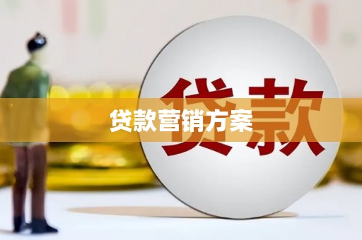 庆元贷款营销方案