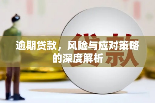 庆元逾期贷款，风险与应对策略的深度解析