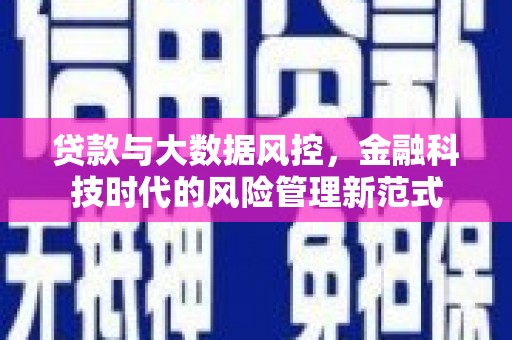 庆元贷款与大数据风控，金融科技时代的风险管理新范式
