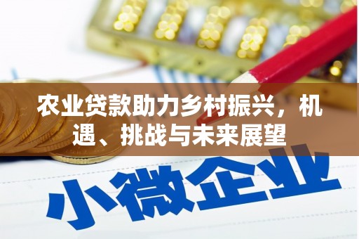 庆元农业贷款助力乡村振兴，机遇、挑战与未来展望