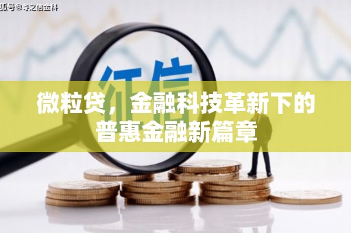 庆元微粒贷，金融科技革新下的普惠金融新篇章