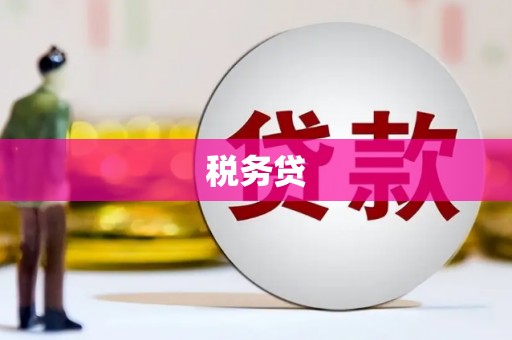 庆元税务贷