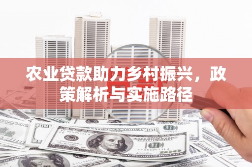 庆元农业贷款助力乡村振兴，政策解析与实施路径