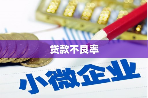 庆元贷款不良率
