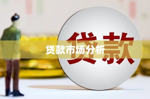 庆元贷款市场分析