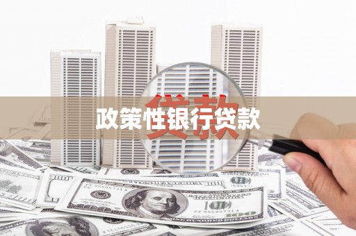 庆元政策性银行贷款