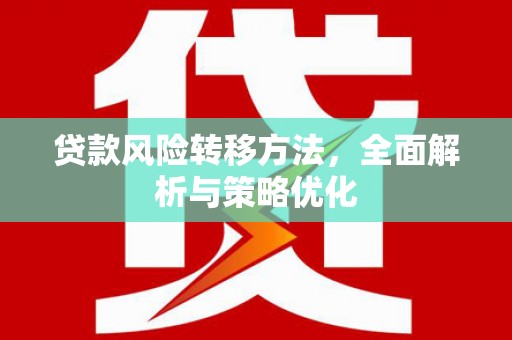 庆元贷款风险转移方法，全面解析与策略优化