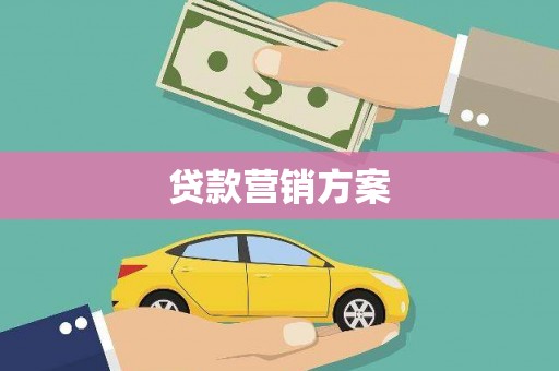 庆元贷款营销方案