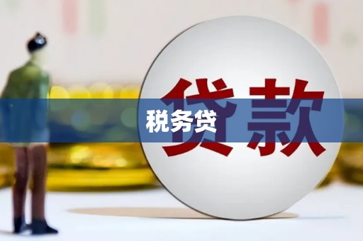 庆元税务贷