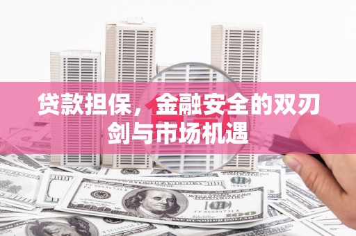庆元贷款担保，金融安全的双刃剑与市场机遇