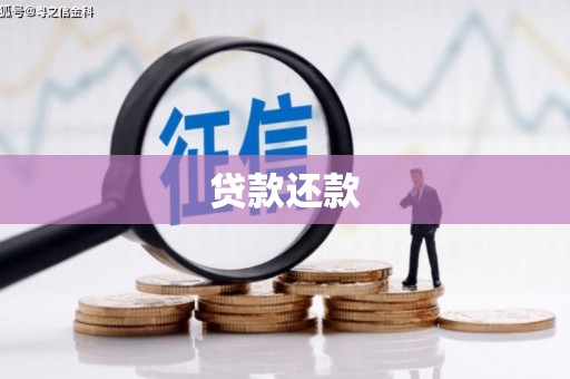 庆元贷款还款