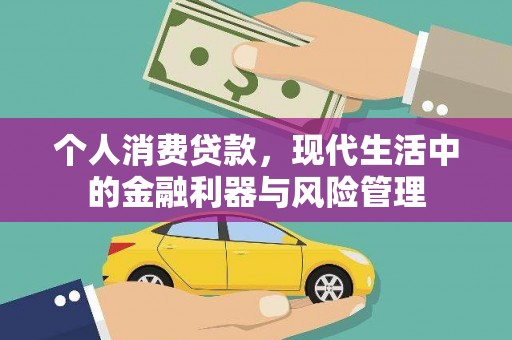 庆元个人消费贷款，现代生活中的金融利器与风险管理