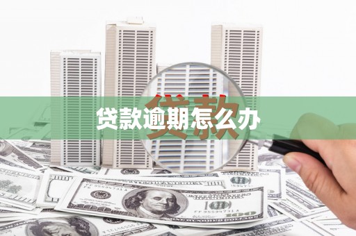 庆元贷款逾期怎么办