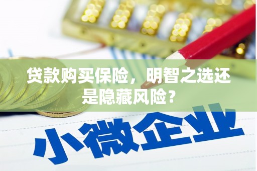庆元贷款购买保险，明智之选还是隐藏风险？