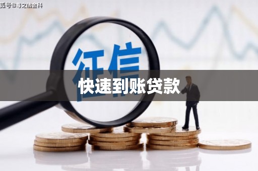 庆元快速到账贷款