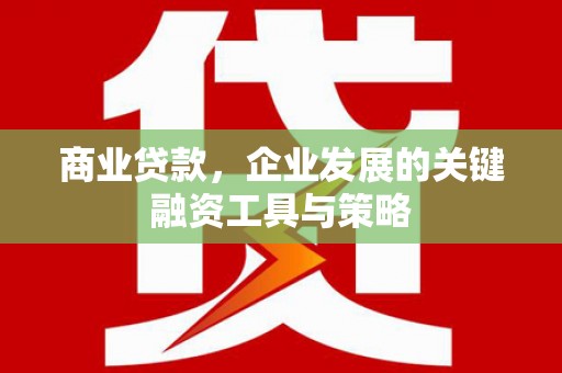 庆元商业贷款，企业发展的关键融资工具与策略