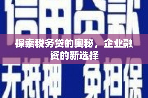 庆元探索税务贷的奥秘，企业融资的新选择