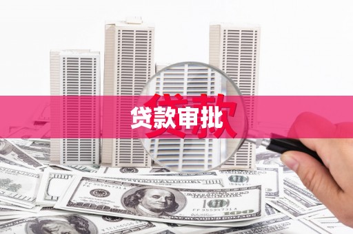 庆元贷款审批