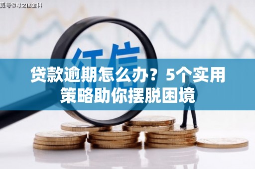 庆元贷款逾期怎么办？5个实用策略助你摆脱困境