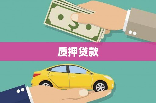 庆元质押贷款