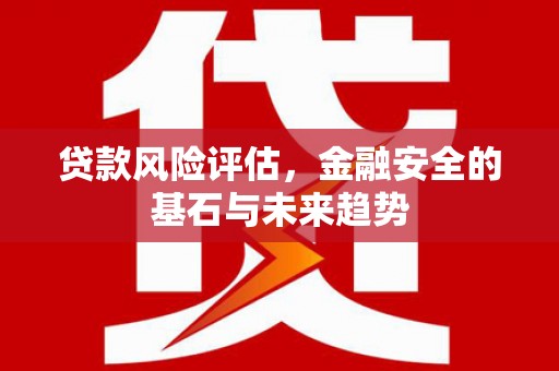 庆元贷款风险评估，金融安全的基石与未来趋势