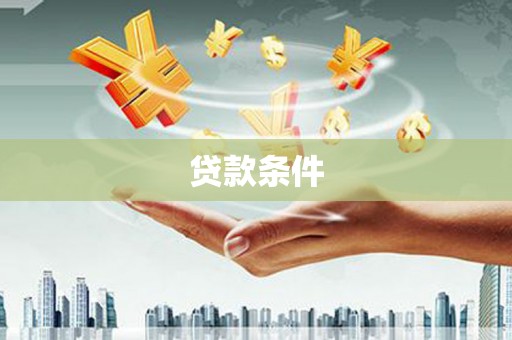 庆元贷款条件