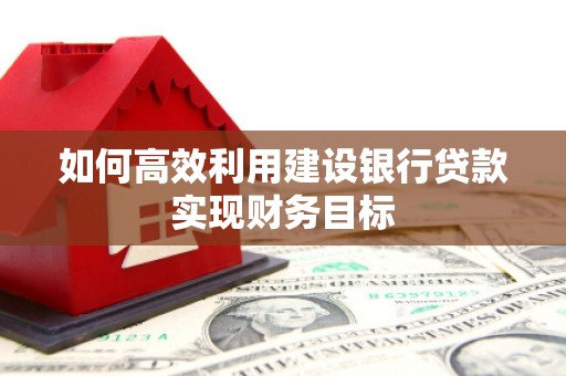 庆元如何高效利用建设银行贷款实现财务目标