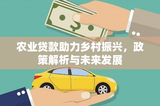 庆元农业贷款助力乡村振兴，政策解析与未来发展
