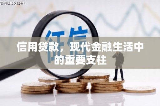 庆元信用贷款，现代金融生活中的重要支柱