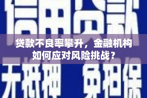 庆元贷款不良率攀升，金融机构如何应对风险挑战？