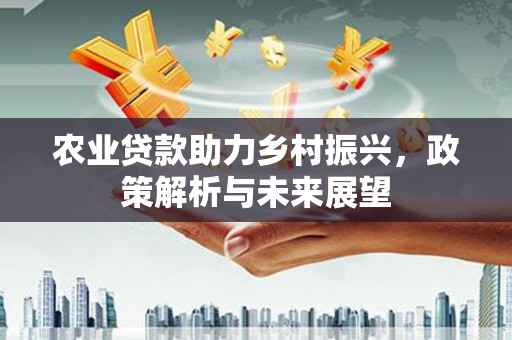 庆元农业贷款助力乡村振兴，政策解析与未来展望