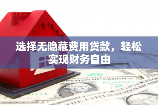 庆元选择无隐藏费用贷款，轻松实现财务自由