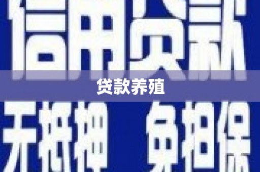 庆元贷款养殖
