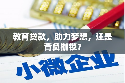 庆元教育贷款，助力梦想，还是背负枷锁？