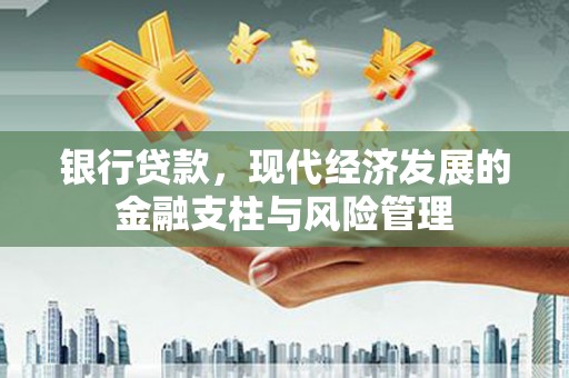 庆元银行贷款，现代经济发展的金融支柱与风险管理