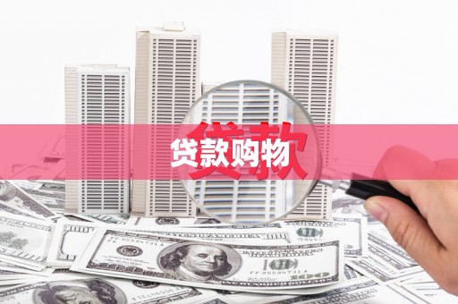 庆元贷款购物