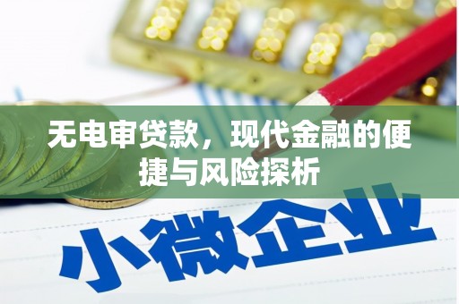 庆元无电审贷款，现代金融的便捷与风险探析