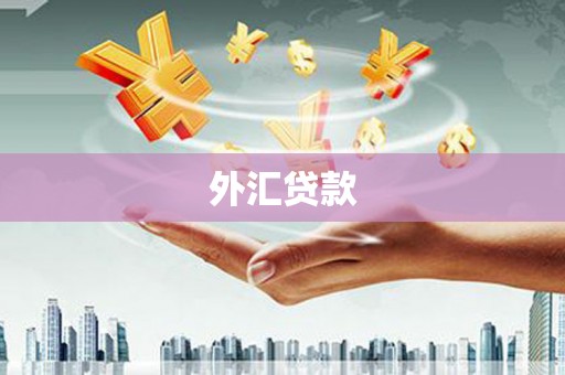 庆元外汇贷款