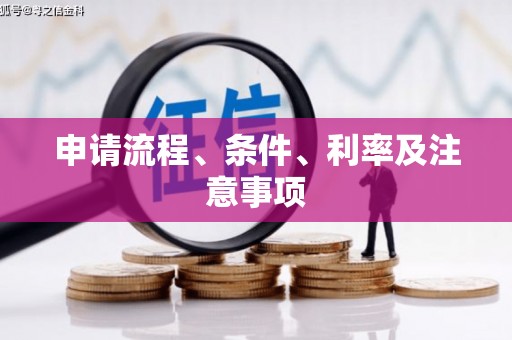 庆元申请流程、条件、利率及注意事项
