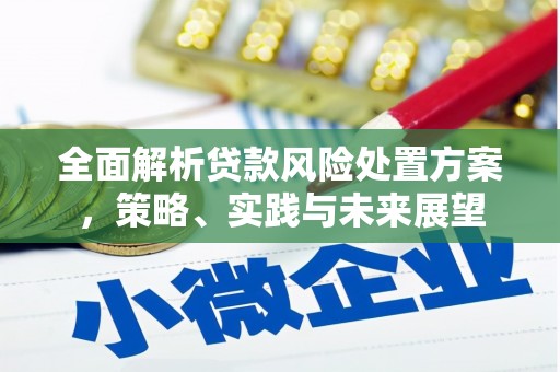 庆元全面解析贷款风险处置方案，策略、实践与未来展望