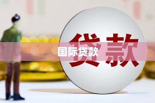 庆元国际贷款