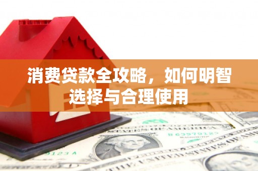 庆元消费贷款全攻略，如何明智选择与合理使用