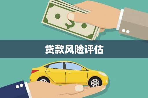庆元贷款风险评估