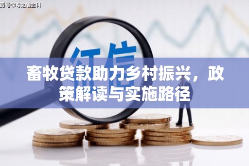 庆元畜牧贷款助力乡村振兴，政策解读与实施路径