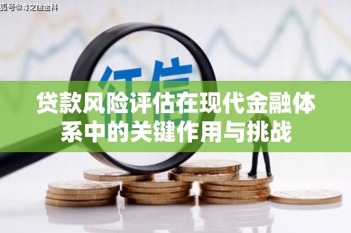 庆元贷款风险评估在现代金融体系中的关键作用与挑战