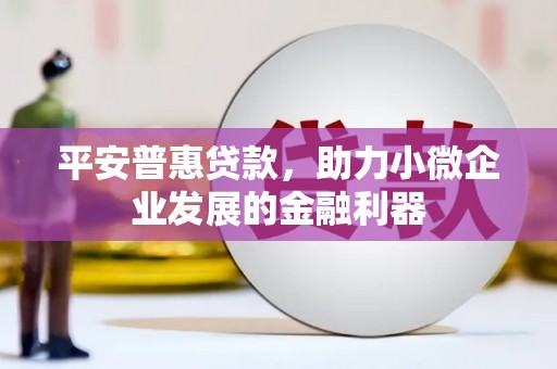 庆元平安普惠贷款，助力小微企业发展的金融利器