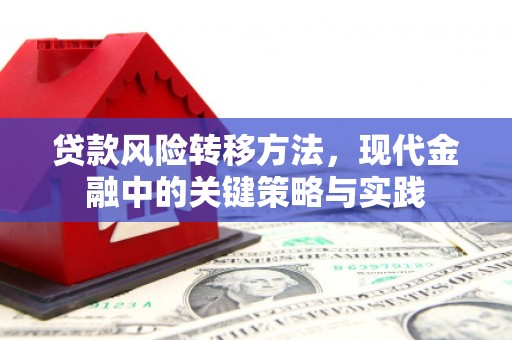 庆元贷款风险转移方法，现代金融中的关键策略与实践