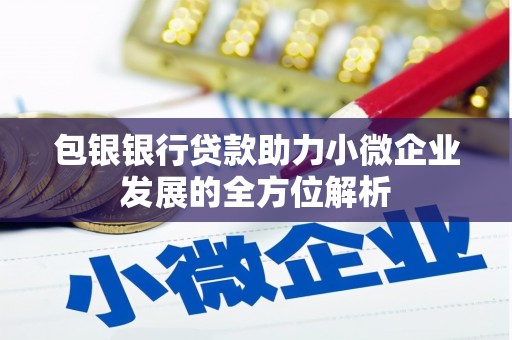 庆元包银银行贷款助力小微企业发展的全方位解析