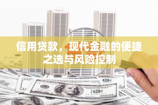 庆元信用贷款，现代金融的便捷之选与风险控制